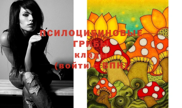 бутират Алзамай