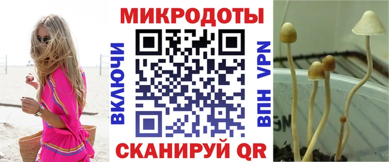 Галлюциногенные грибы Cubensis  Солигалич 